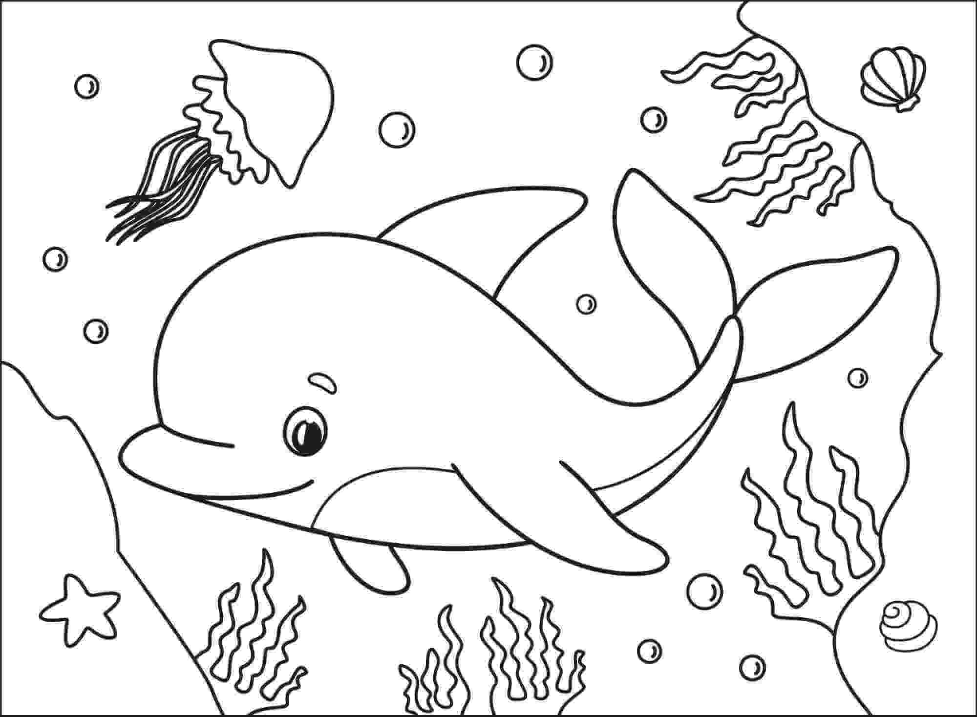 Golfinho Fofo com Medusas e Vieiras para colorir
