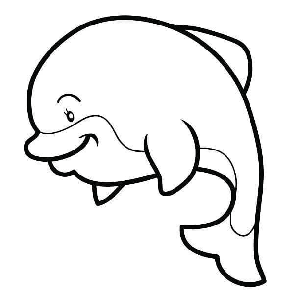Desenhos de Golfinho Gordo para colorir