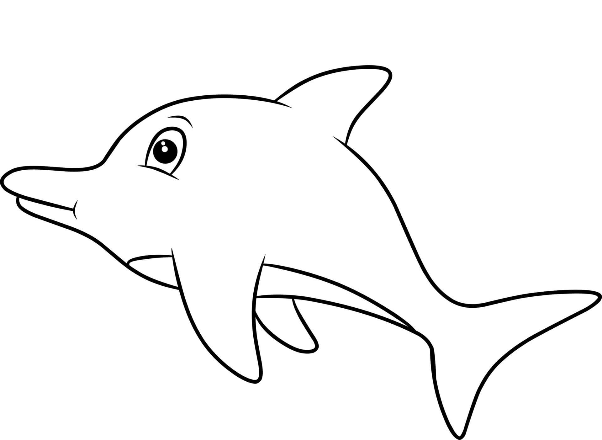 Desenhos de Golfinho Livre para colorir
