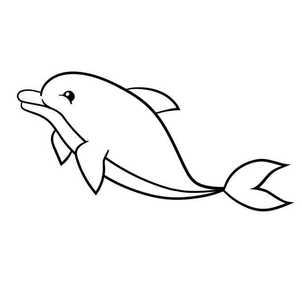 Desenhos de Golfinho Simples para colorir