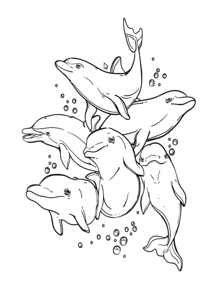 Desenhos de Golfinhos Doces para colorir