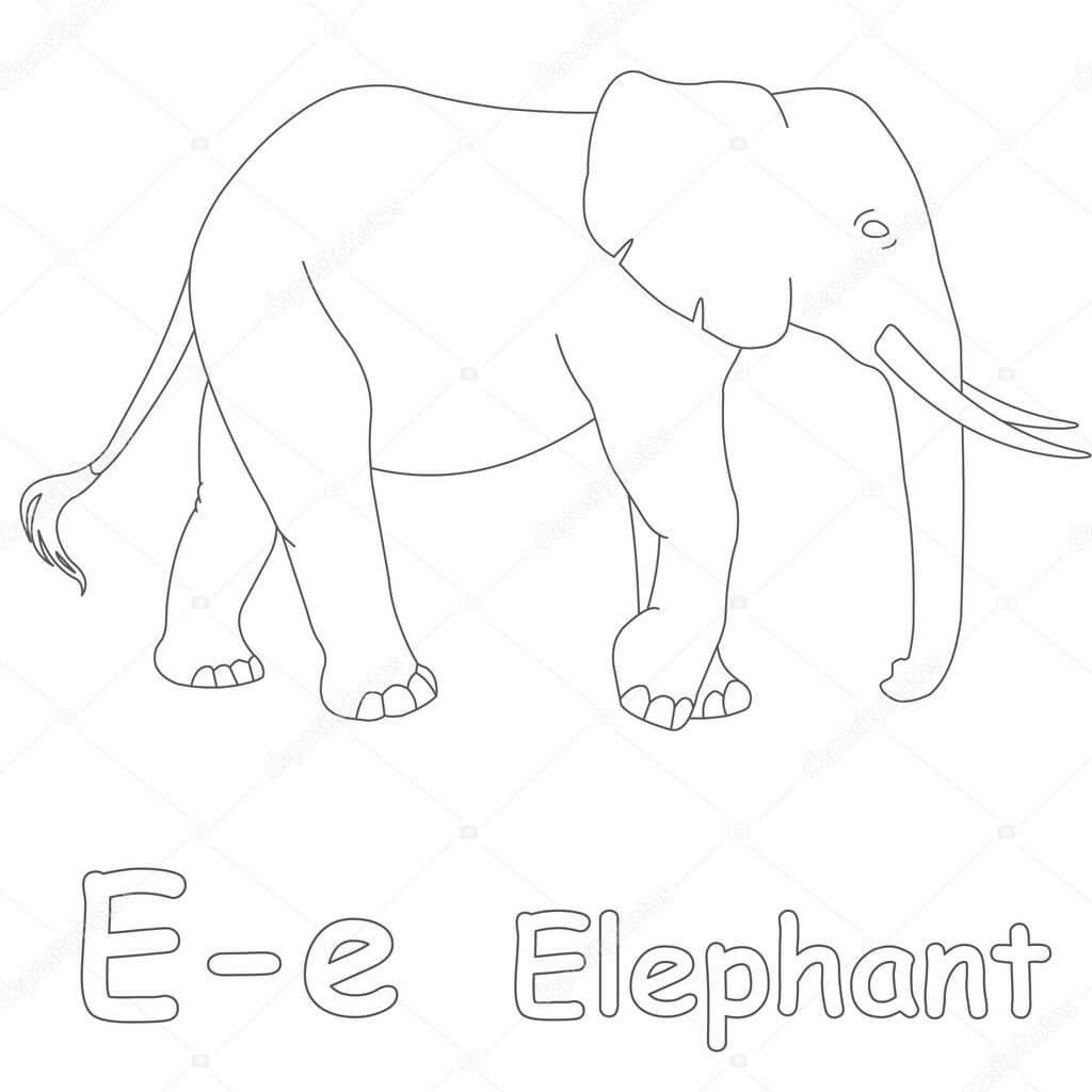 Desenhos de Letra E e Elefante para colorir