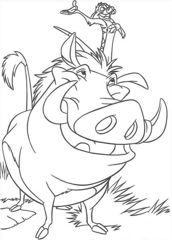 Desenhos de Pumba E Timon para colorir