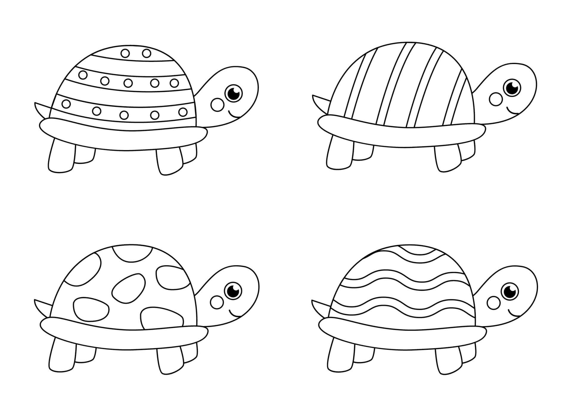 Quatro Tartarugas para colorir