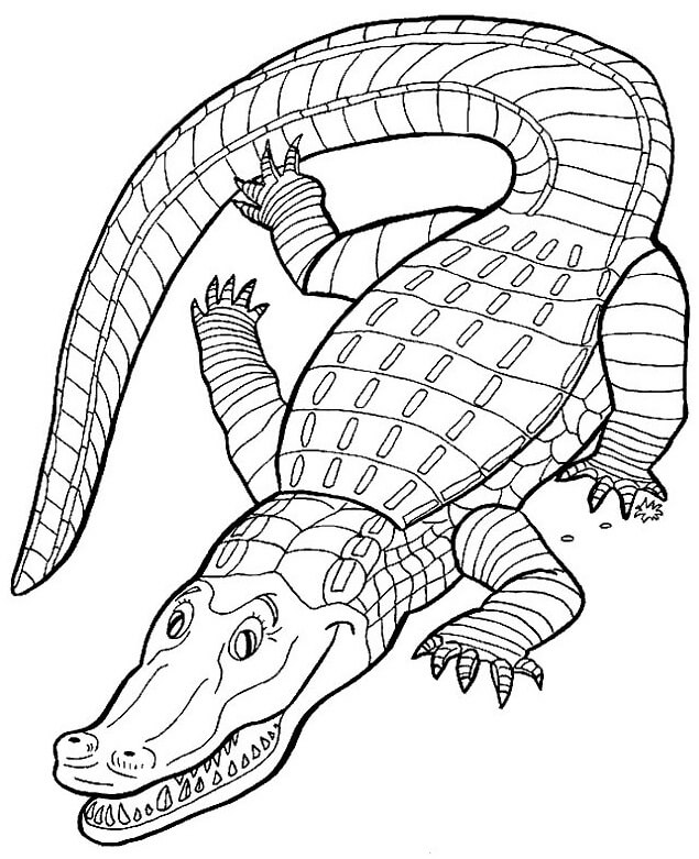 Desenhos de Simples Crocodilo para colorir