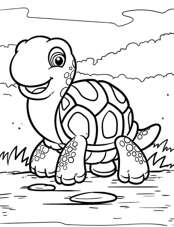 Desenhos de Tartaruga Adorável para colorir