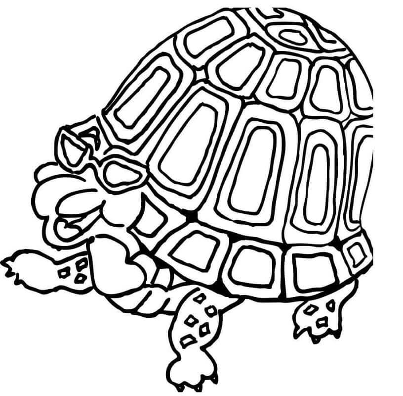 Desenhos de Tartaruga Divertida para colorir