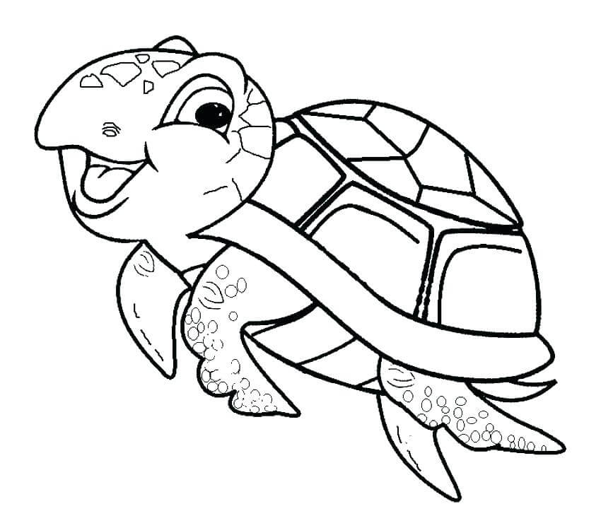Tartaruga Engraçada para colorir