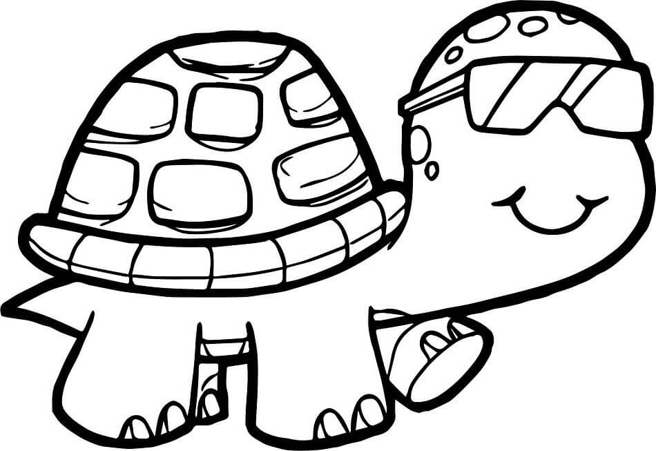 Desenhos de Tartaruga Fresca para colorir
