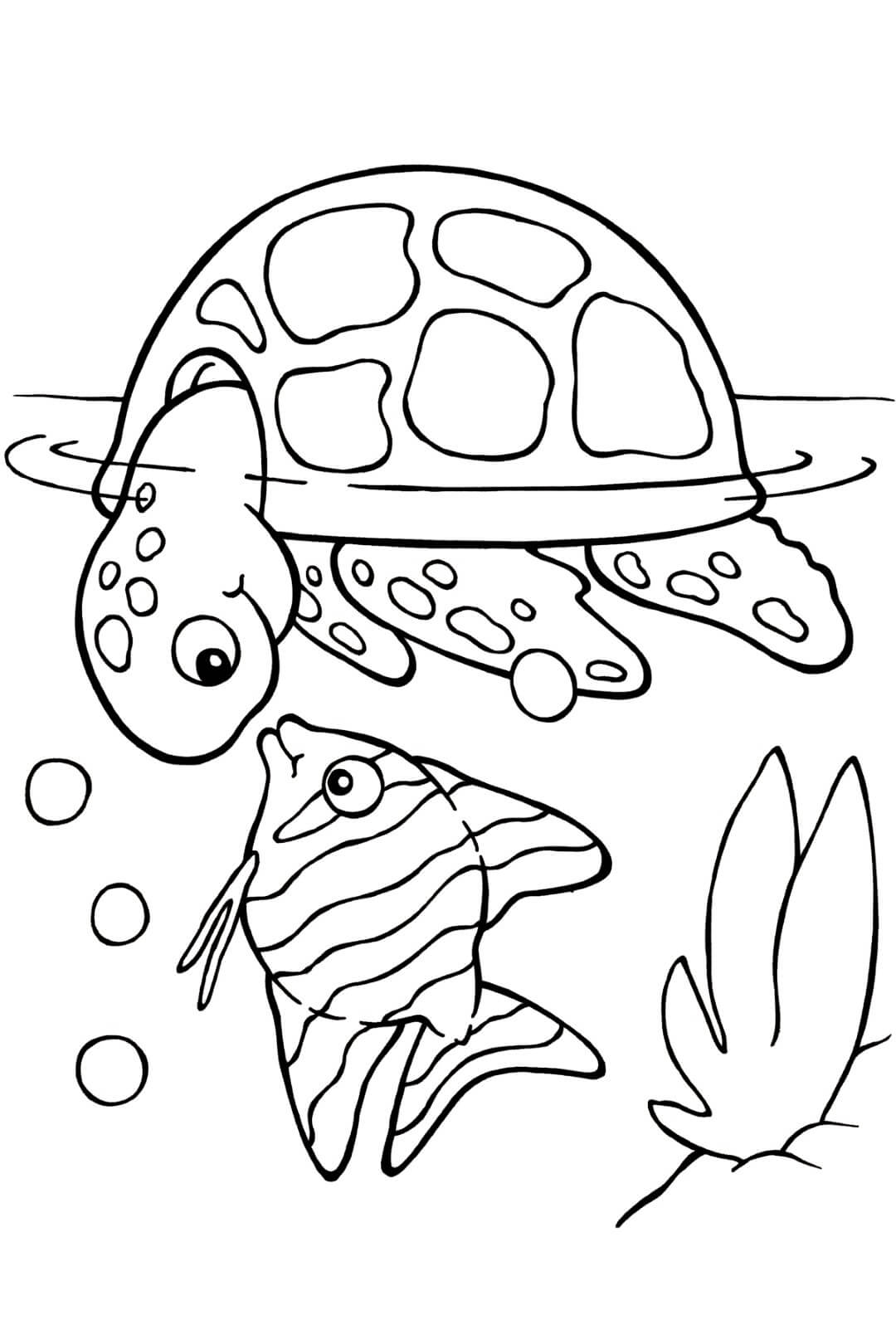 Tartaruga Marinha e Peixes para colorir