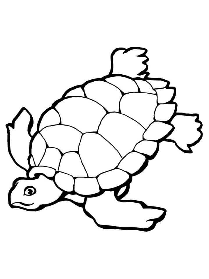 Desenhos de Tartaruga Marinha Nadando para colorir