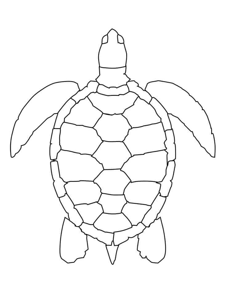 Tartaruga Marinha Única para colorir