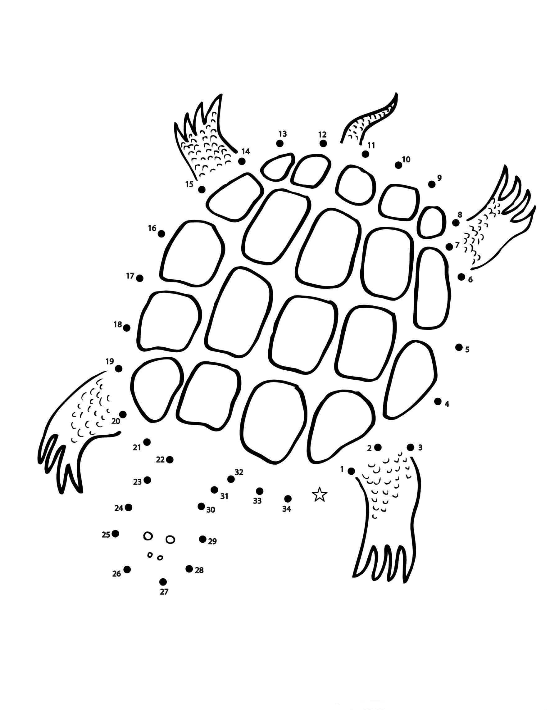 Desenhos de Tartaruga Ponto a Ponto para colorir