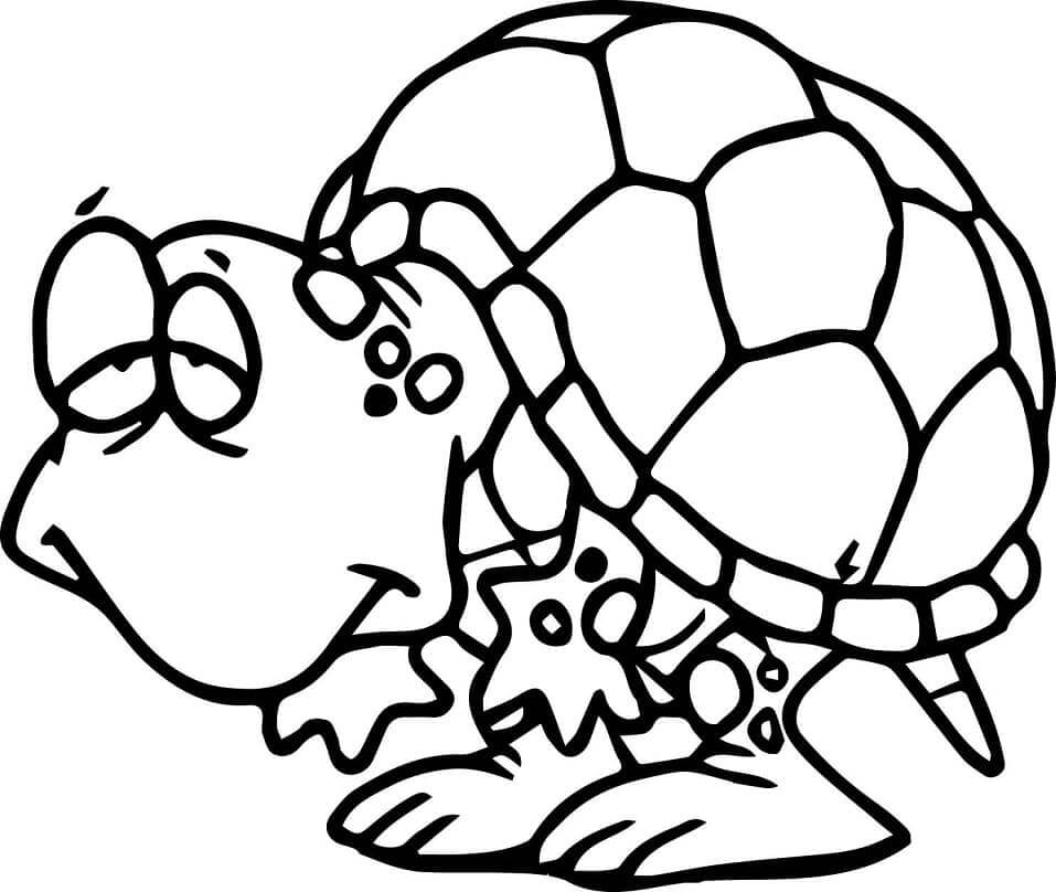 Desenhos de Tartaruga Velha Engraçada para colorir