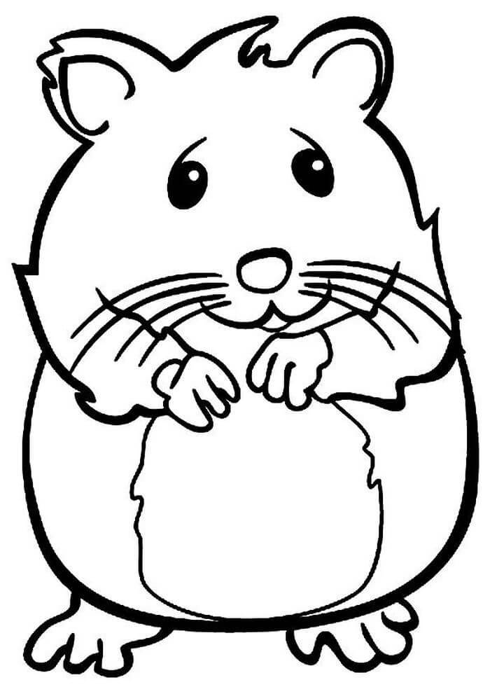 Desenhos de Normal Hamster para colorir