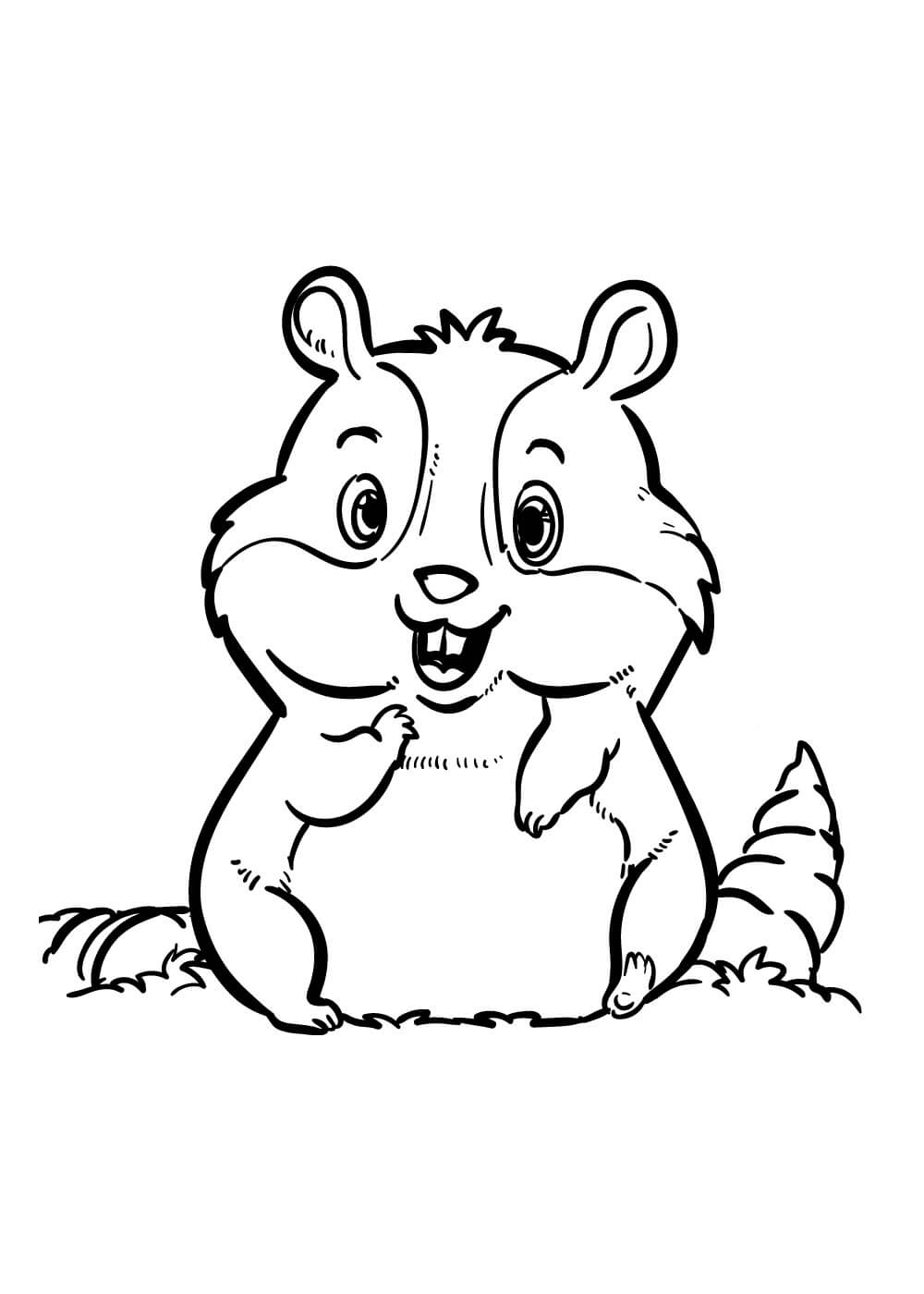 Desenhos de Agradável Hamster para colorir