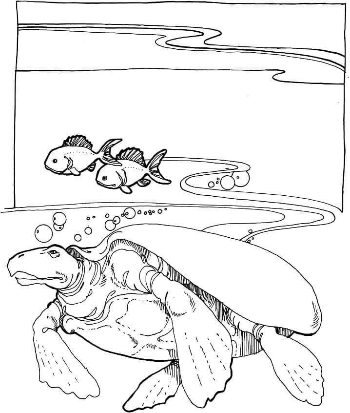 Archelon Tartaruga Marinha Extinta para colorir