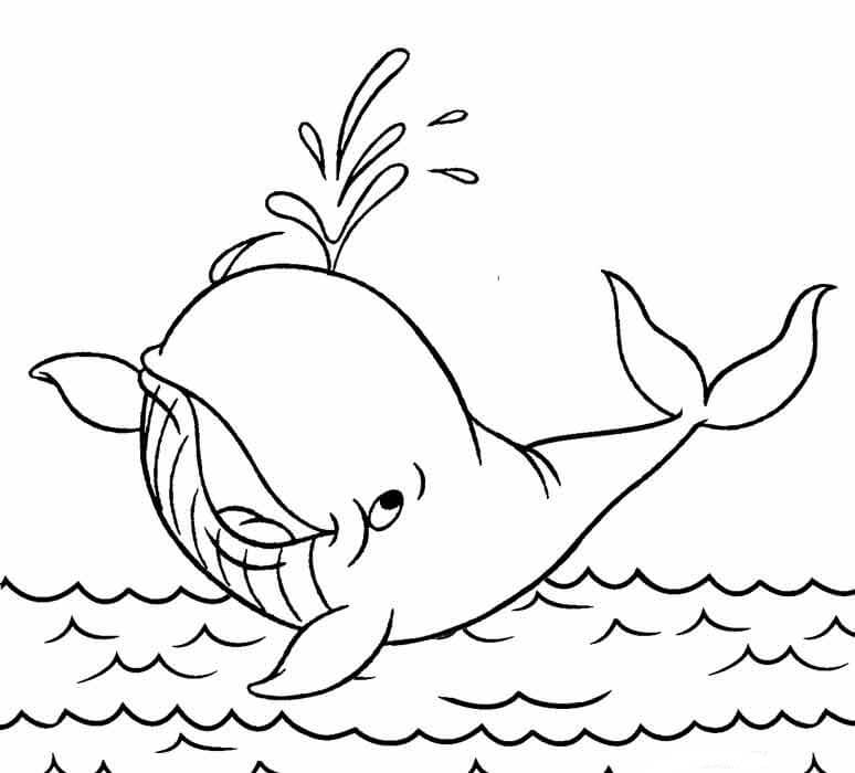 Desenhos de Baleia Engraçada Pulverizando Água para colorir