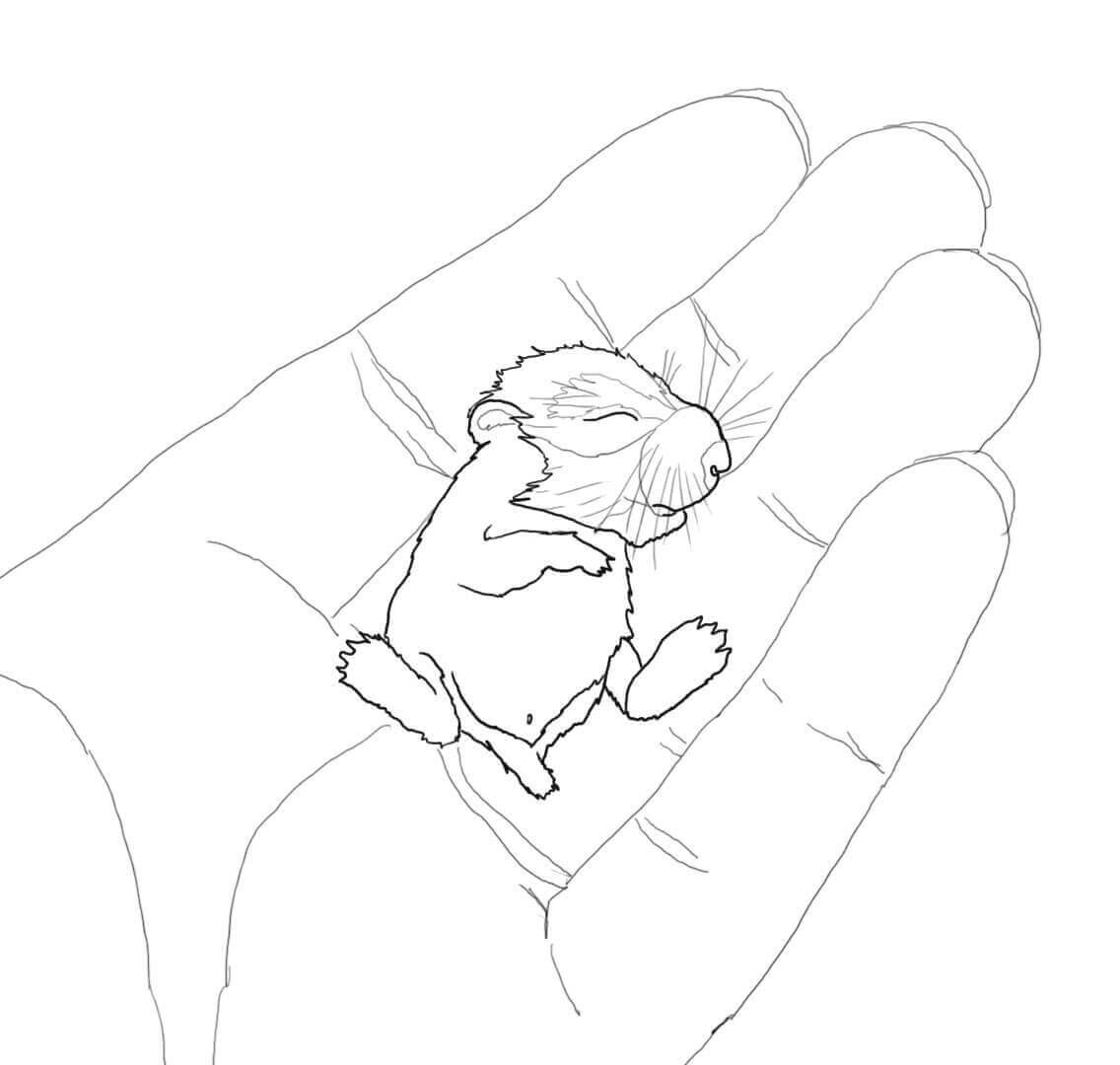Bebê Hamster na Palma para colorir