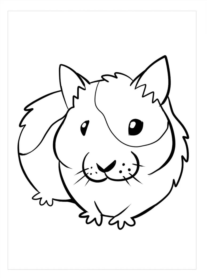 Desenhos de Bom Hamster para colorir