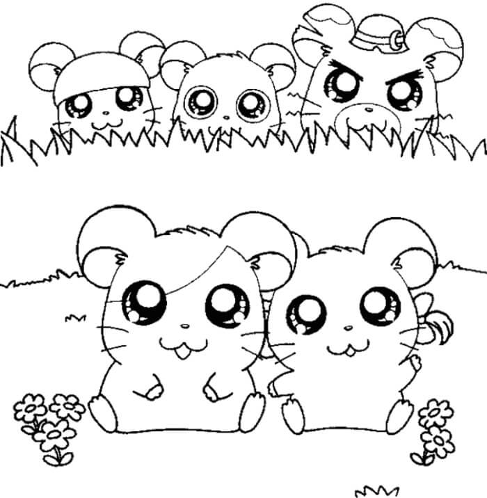 Desenhos de Cinco Hamsters para colorir