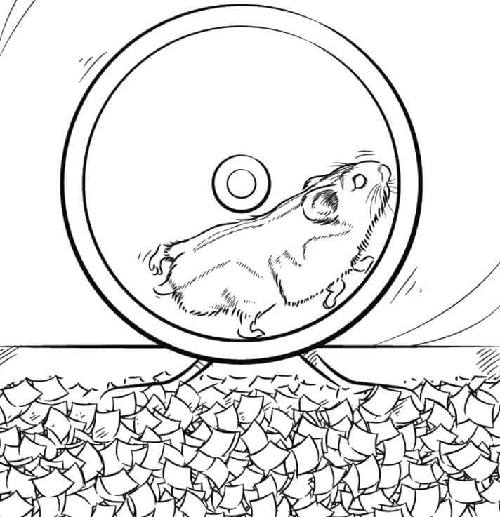 Corrida de Hamster para colorir