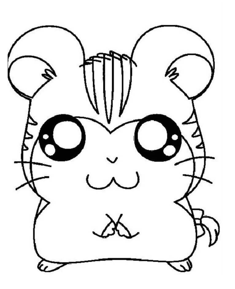 Desenhos de Desenhar Hamster para colorir