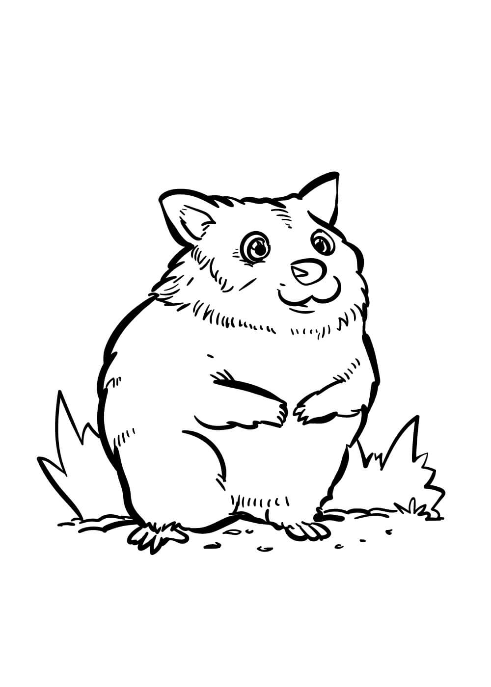 Desenho Básico de Hamster para colorir