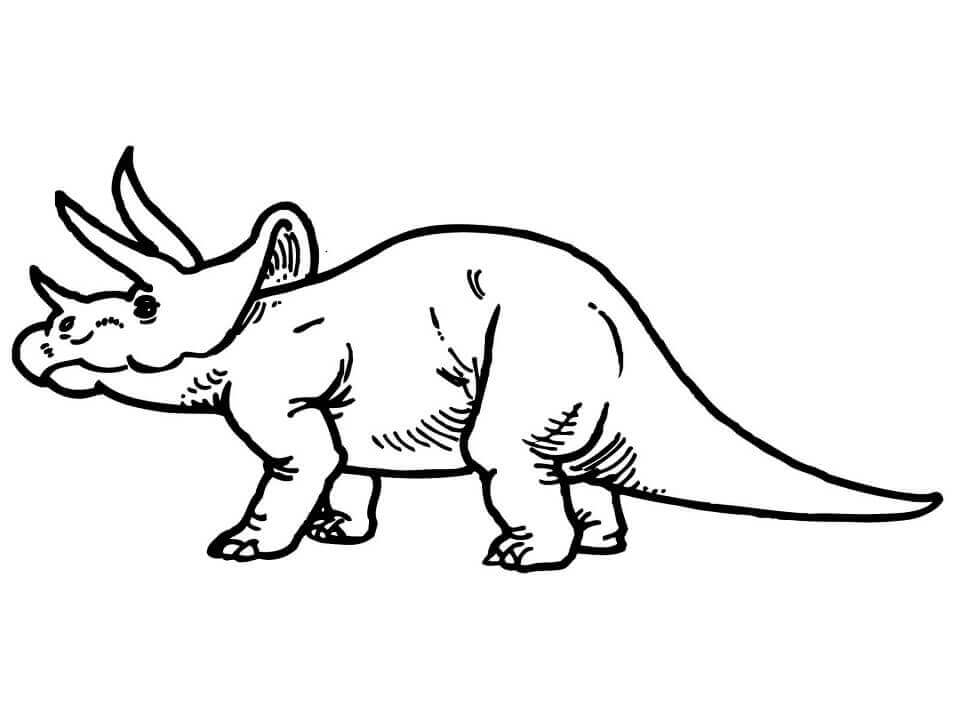 Dino Triceratops para colorir