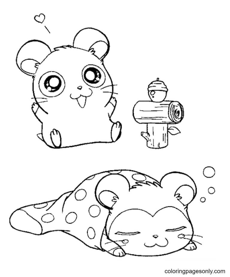 Desenhos de Divertido Hamster e Hamster Dormindo para colorir
