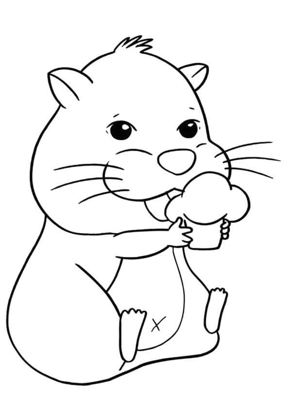 Desenhos de Fotos grátis de Hamster para colorir