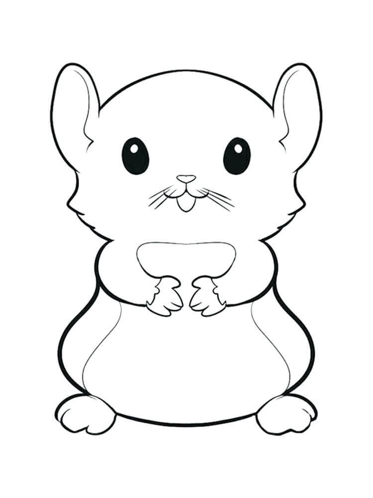 Desenhos de Gráficos Grátis para Hamster para colorir