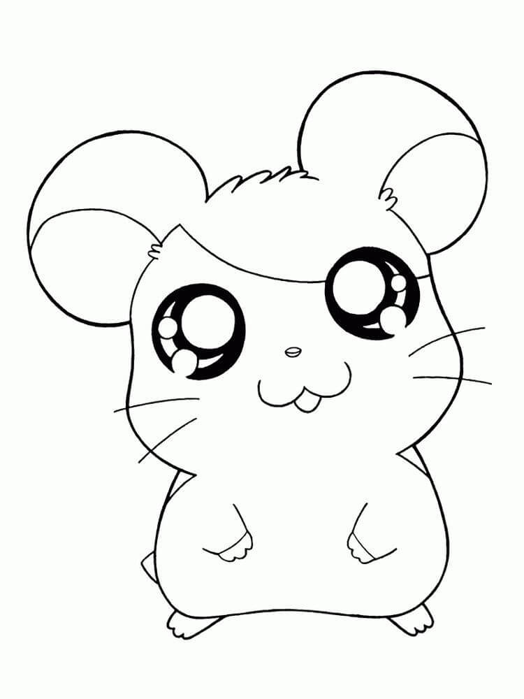 Desenhos de Hamster Básico para colorir