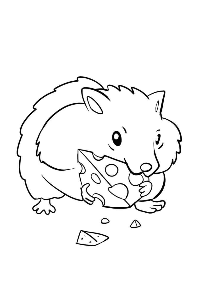 Desenhos de Hamster Bonito come Queijo para colorir
