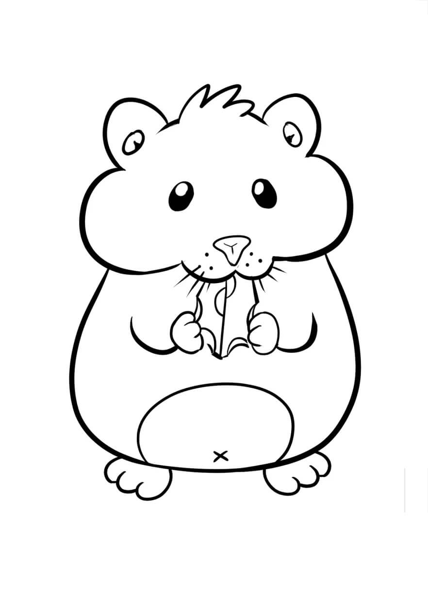 Desenhos de Hamster come Queijo para colorir