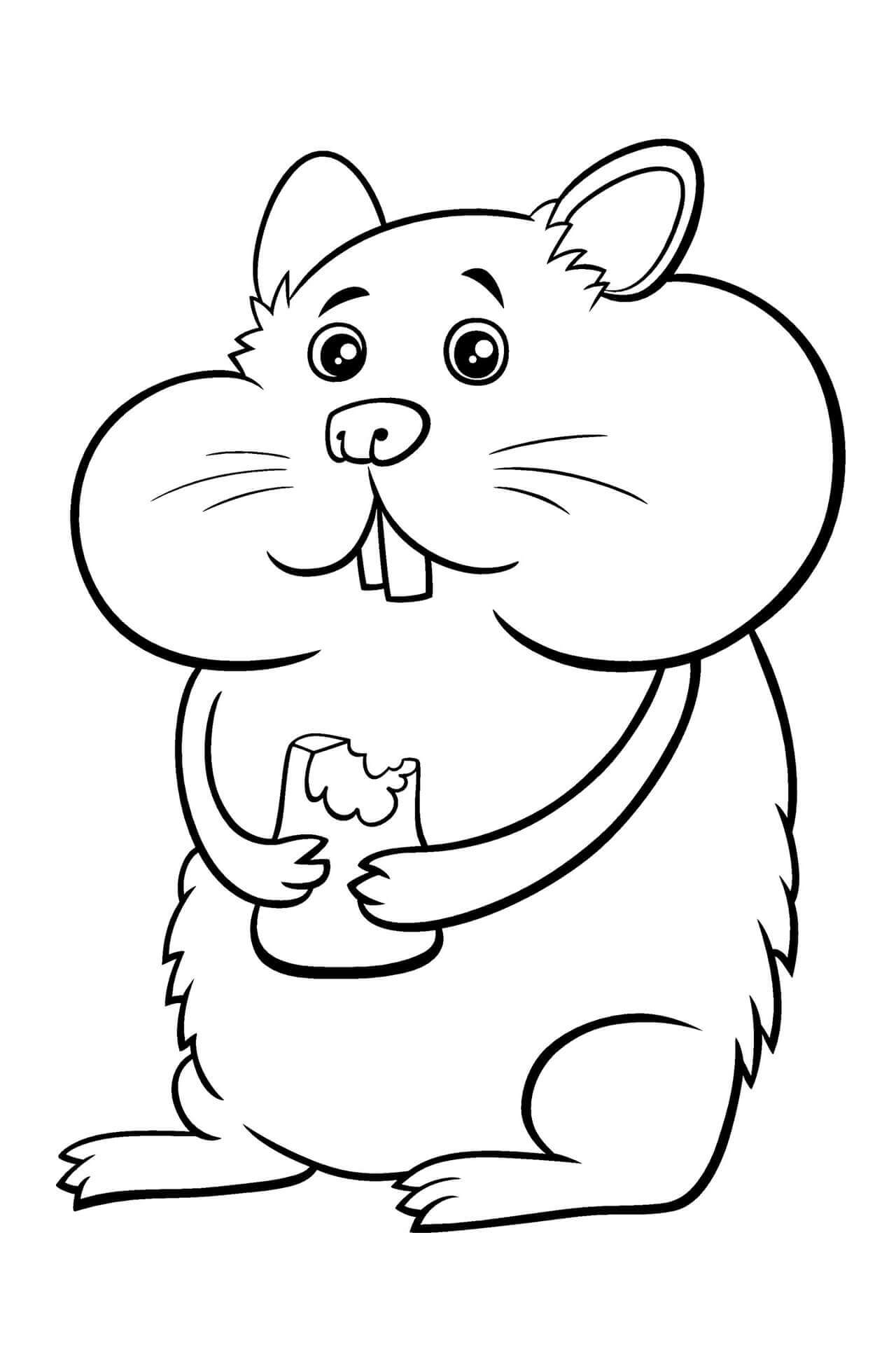 Hamster de desenho Animado Comendo para colorir