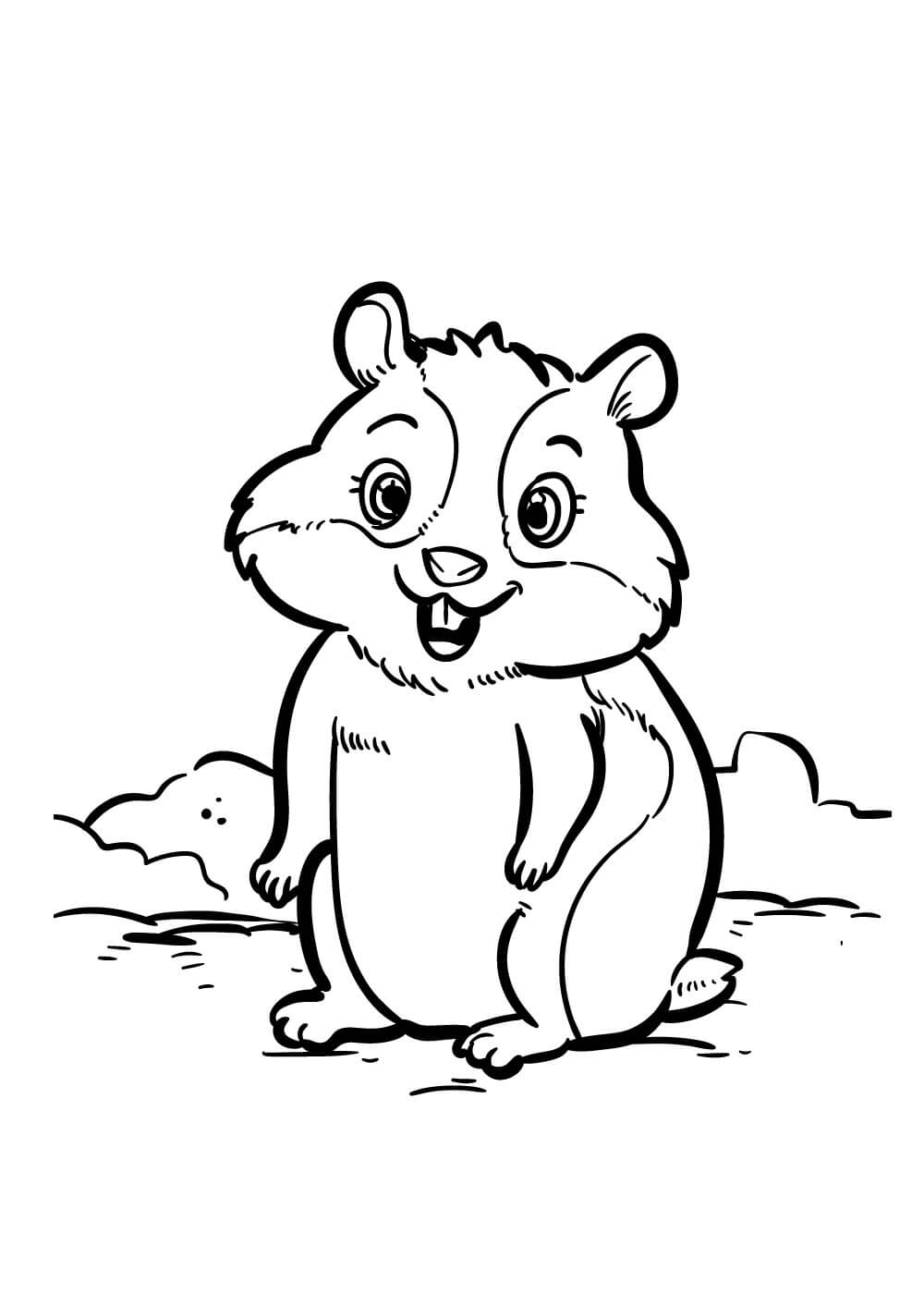 Desenhos de Hamster Divertido para colorir