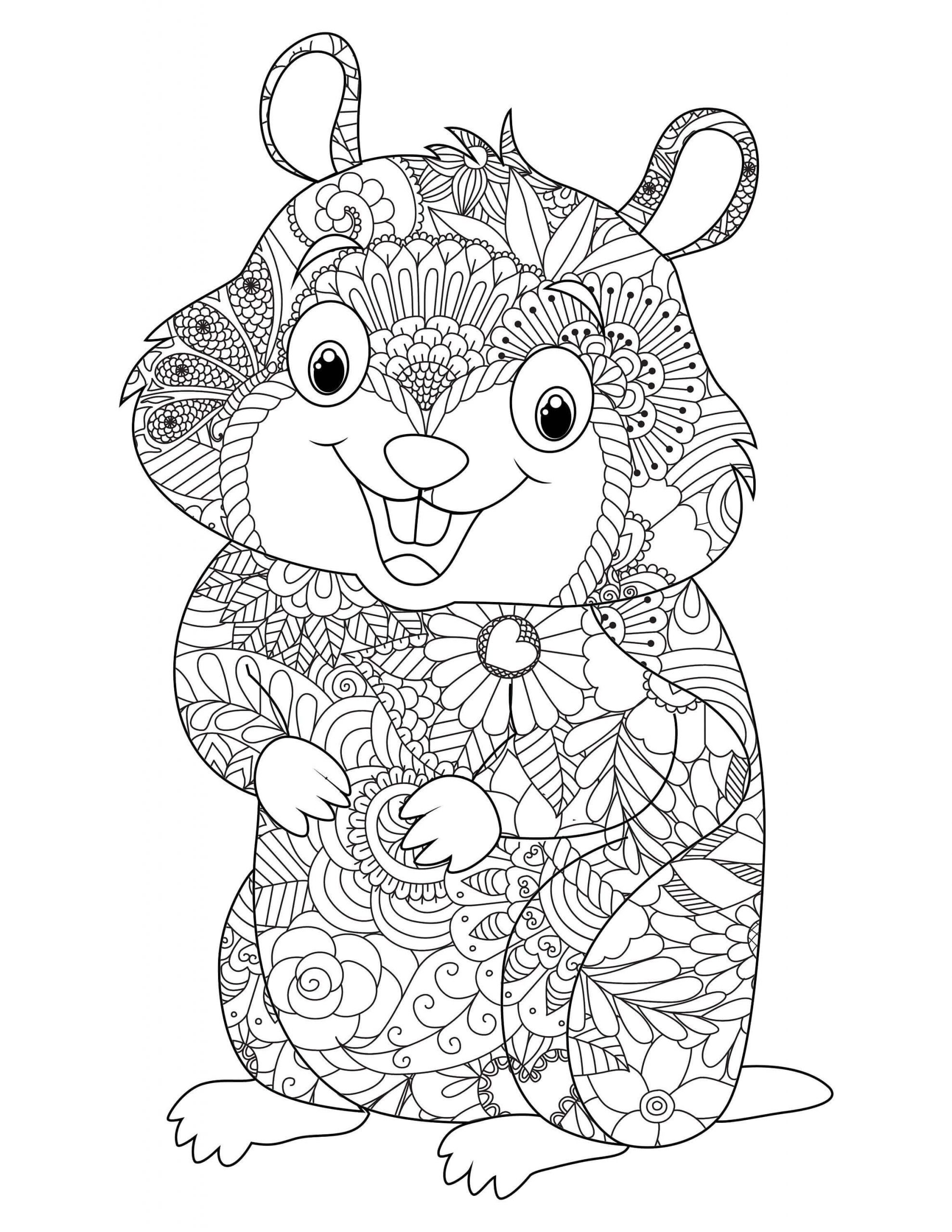 Desenhos de Hamster é para Adulto para colorir