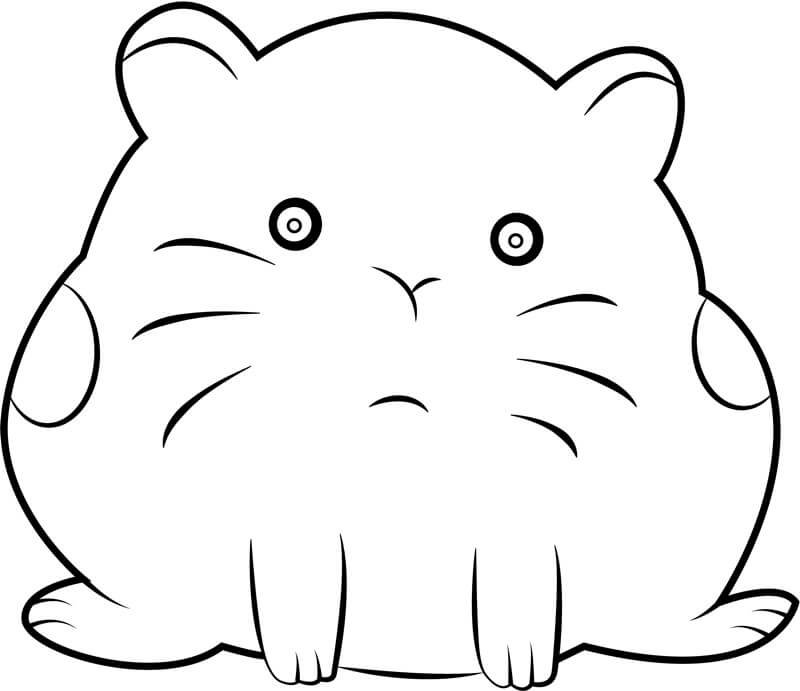 Hamster Fofo para colorir