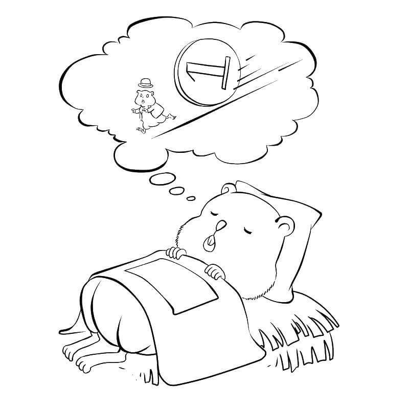 Desenhos de Hamster Fofo Dormindo para colorir