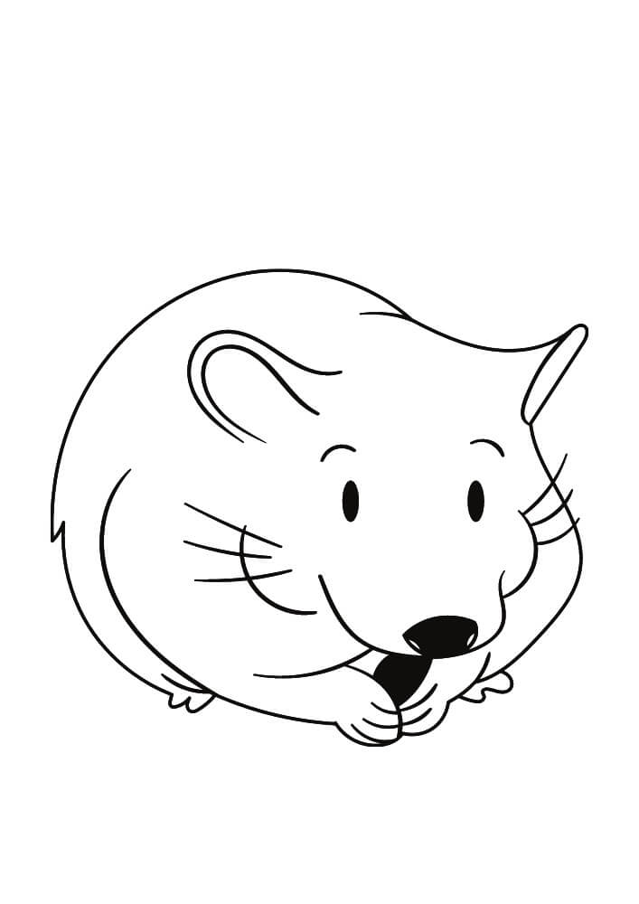 Hamster Grátis para colorir