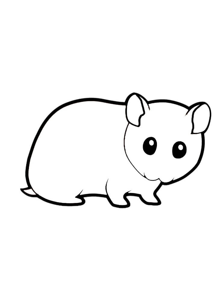 Desenhos de Hamster Incrível para colorir
