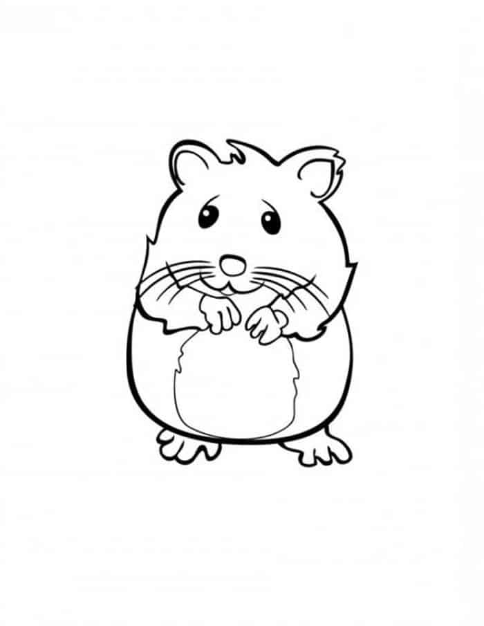 Hamster Perfeito para colorir