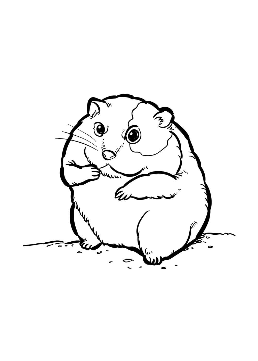 Desenhos de Hamster Simples para colorir