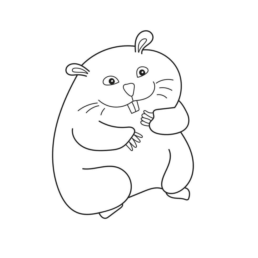 Desenhos de Imagens grátis de Hamster para colorir