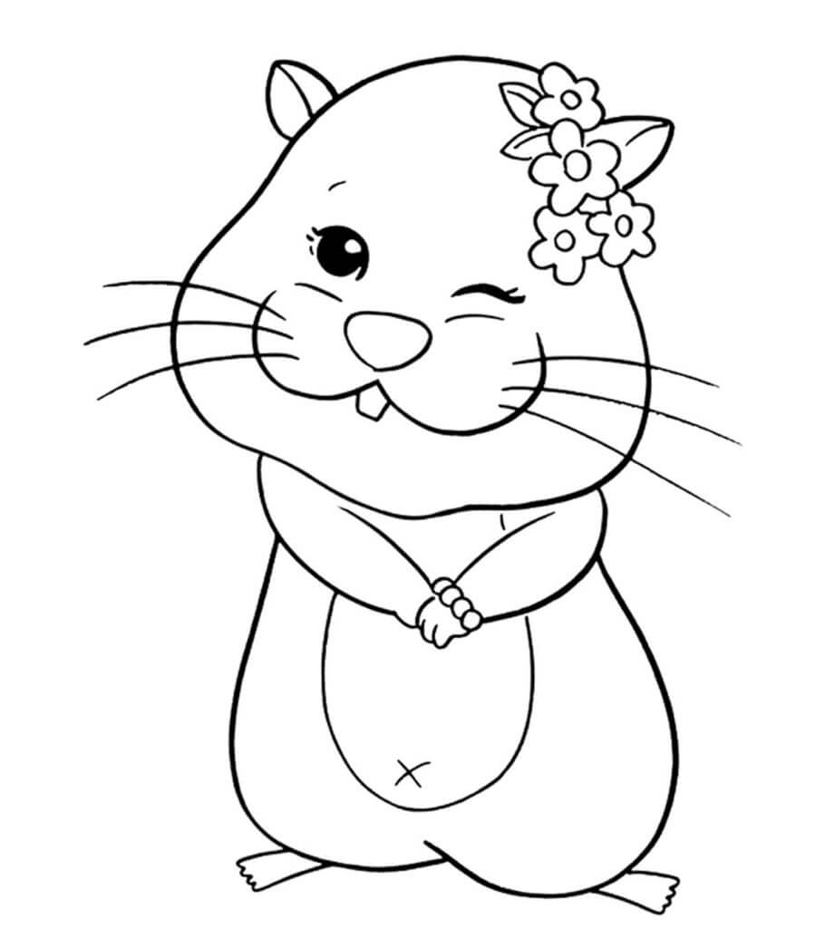 Desenhos de Linda garota de Hamster para colorir