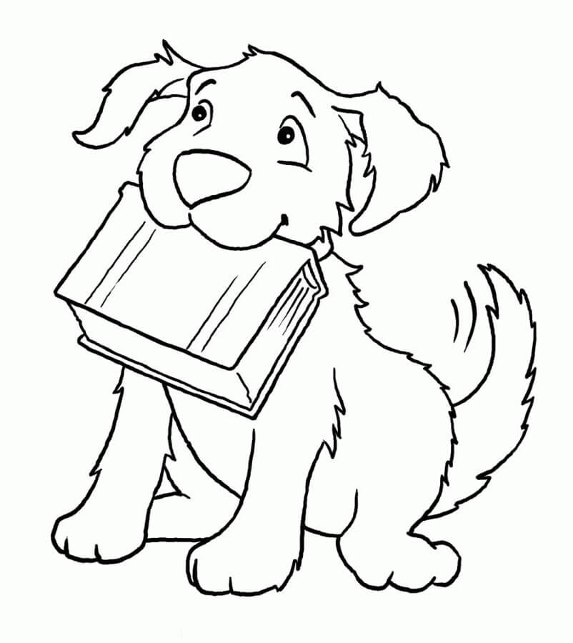 Desenhos de Livro de Transporte de Cachorro para colorir