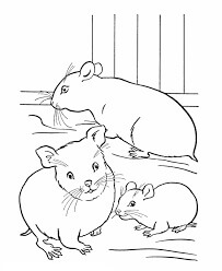 Três hamsters para colorir