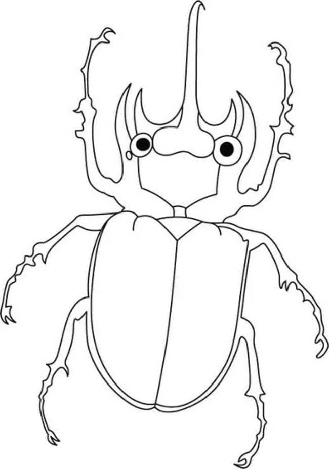 Besouros 2 para colorir