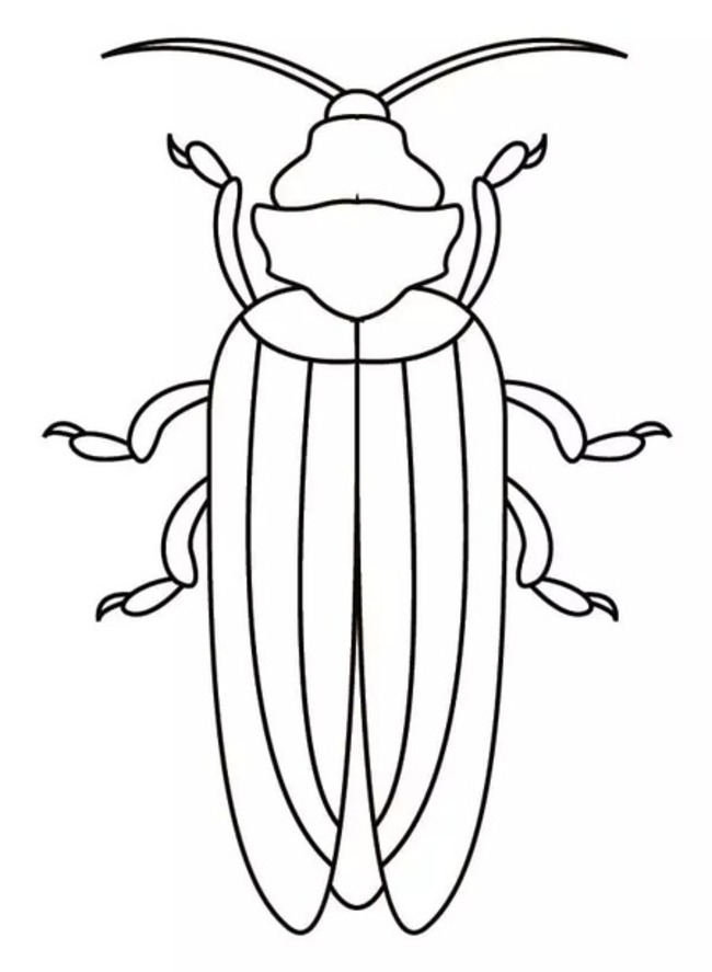 Besouros 6 para colorir